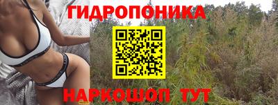 меф Шелехов