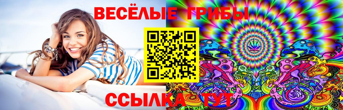 Псилоцибиновые грибы MAGIC MUSHROOMS Воткинск